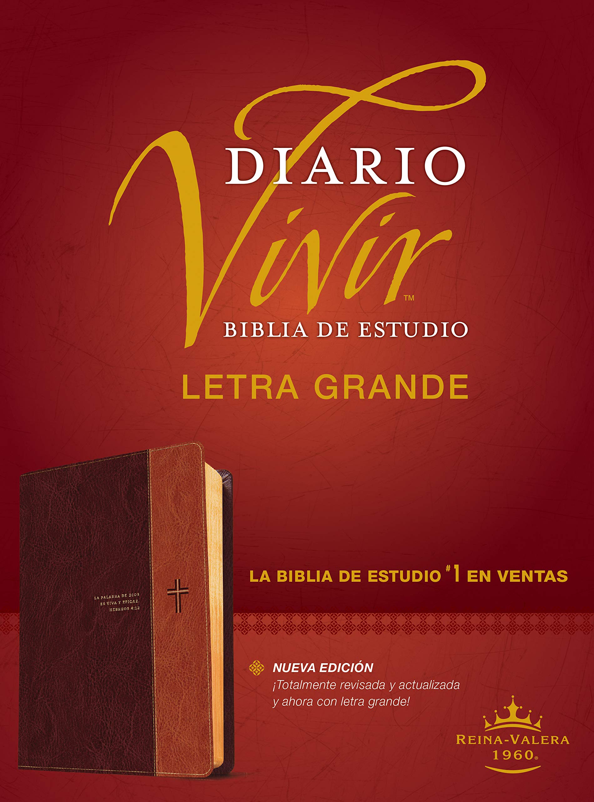 Biblia de estudio del diario vivir RVR60, letra grande (Spanish Edition)