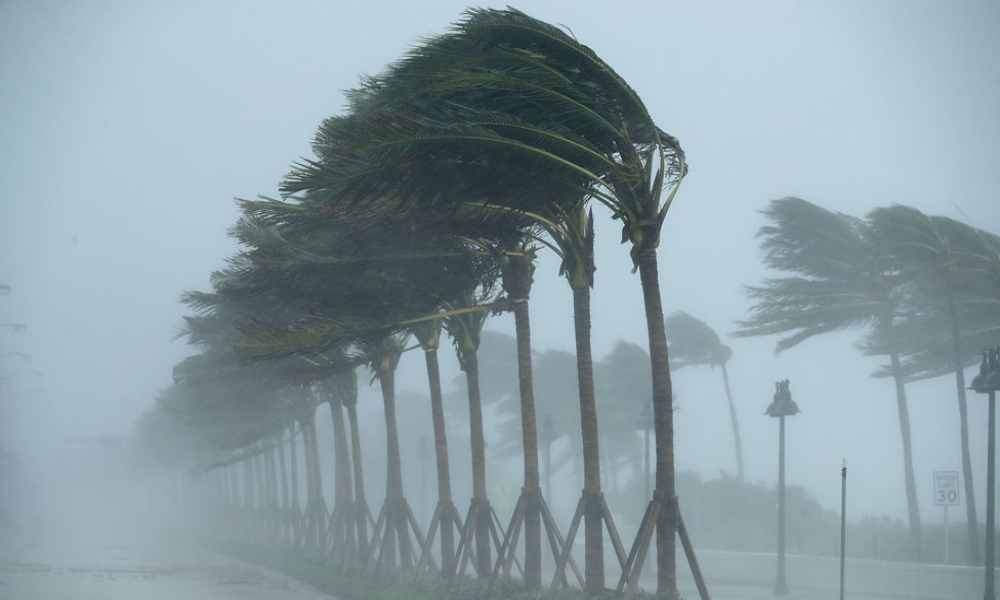 Posible tormenta tropical Gordon se formará en las próximas horas